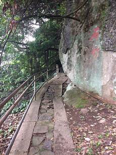 风景刚刚好　疯狂猜成语蚂蚁扛树枝 父亲的筒子楼 2031风流人物